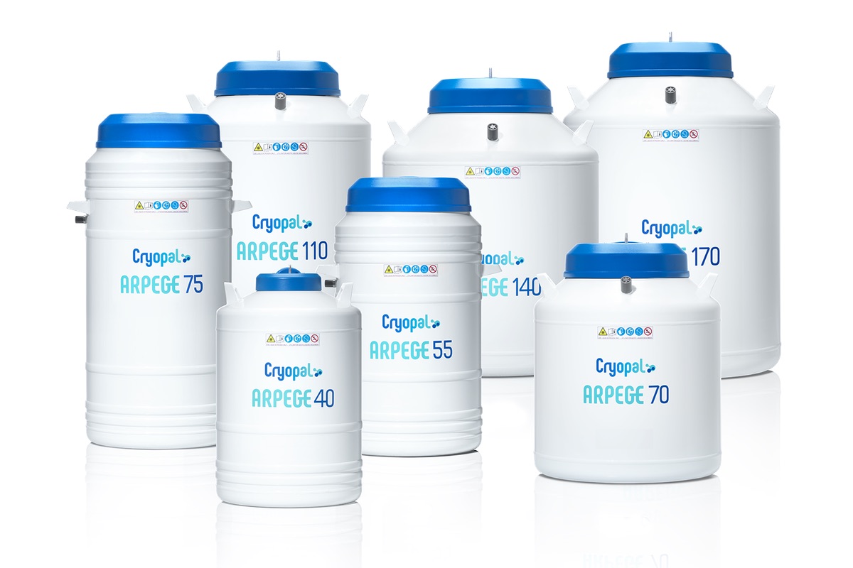 Cryogenic storage vessels